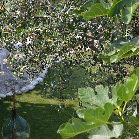 Giardinotto Casa Vacanze Altino  エクステリア 写真